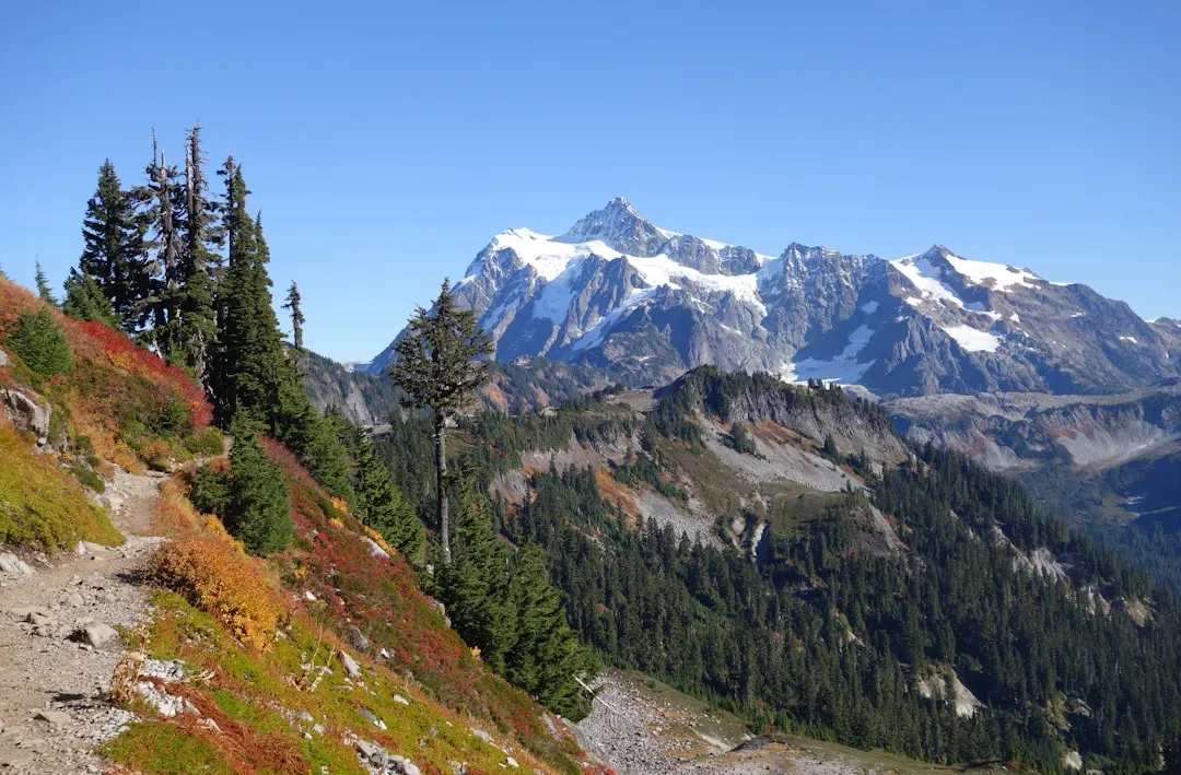 Artist Point
