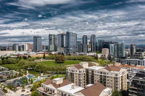 🌳 Bellevue Downtown Park
