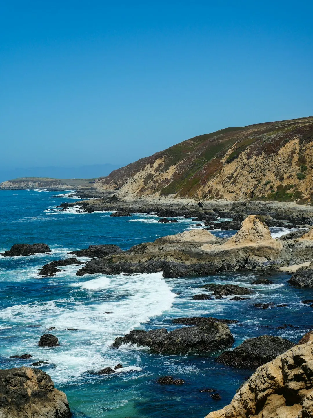 ๐ Bodega Head