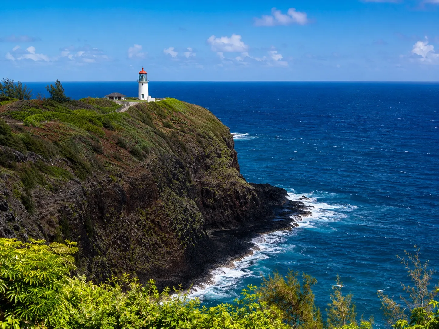 🐦 Kīlauea Point