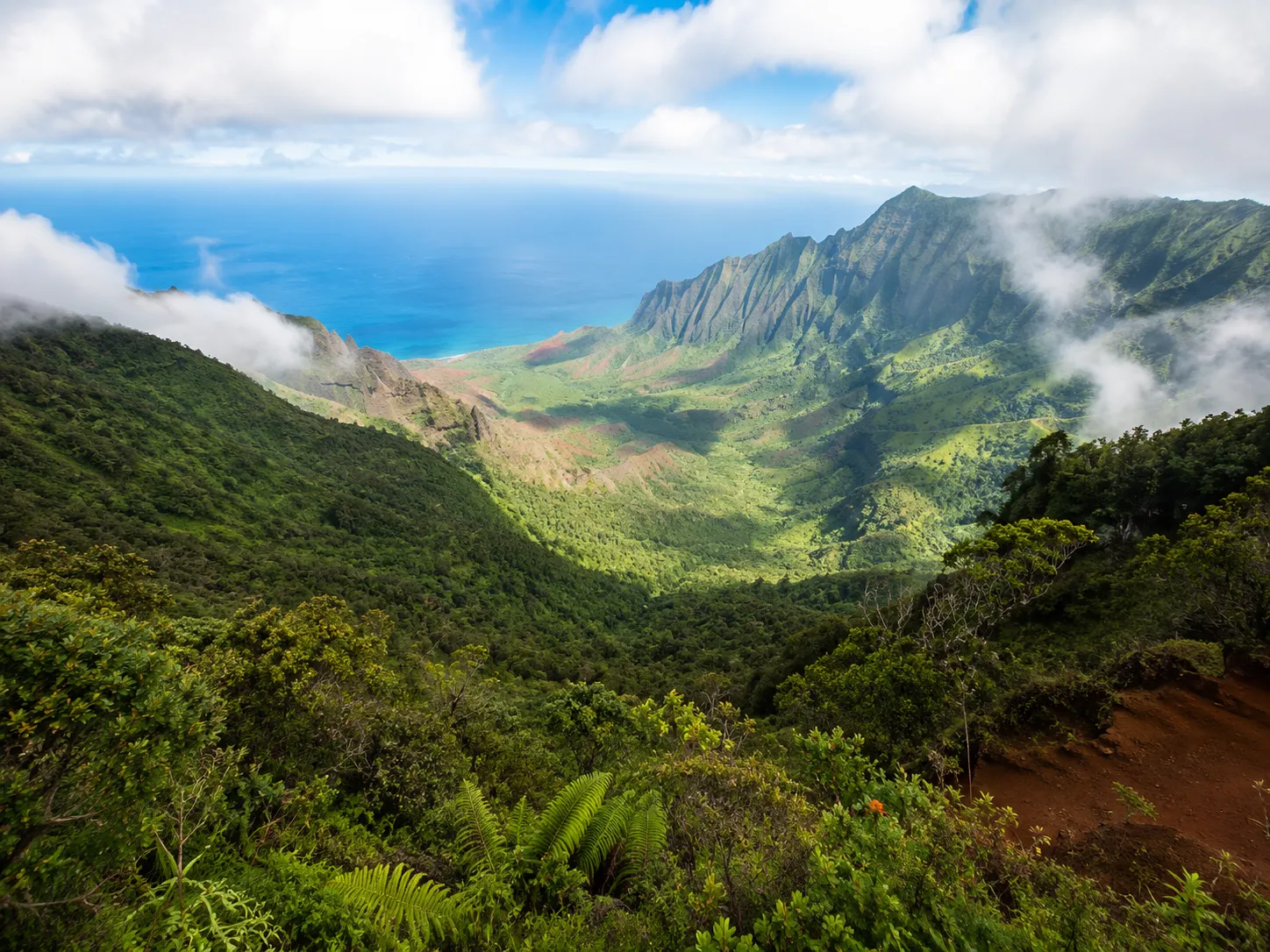 🌲 Kōkeʻe State Park