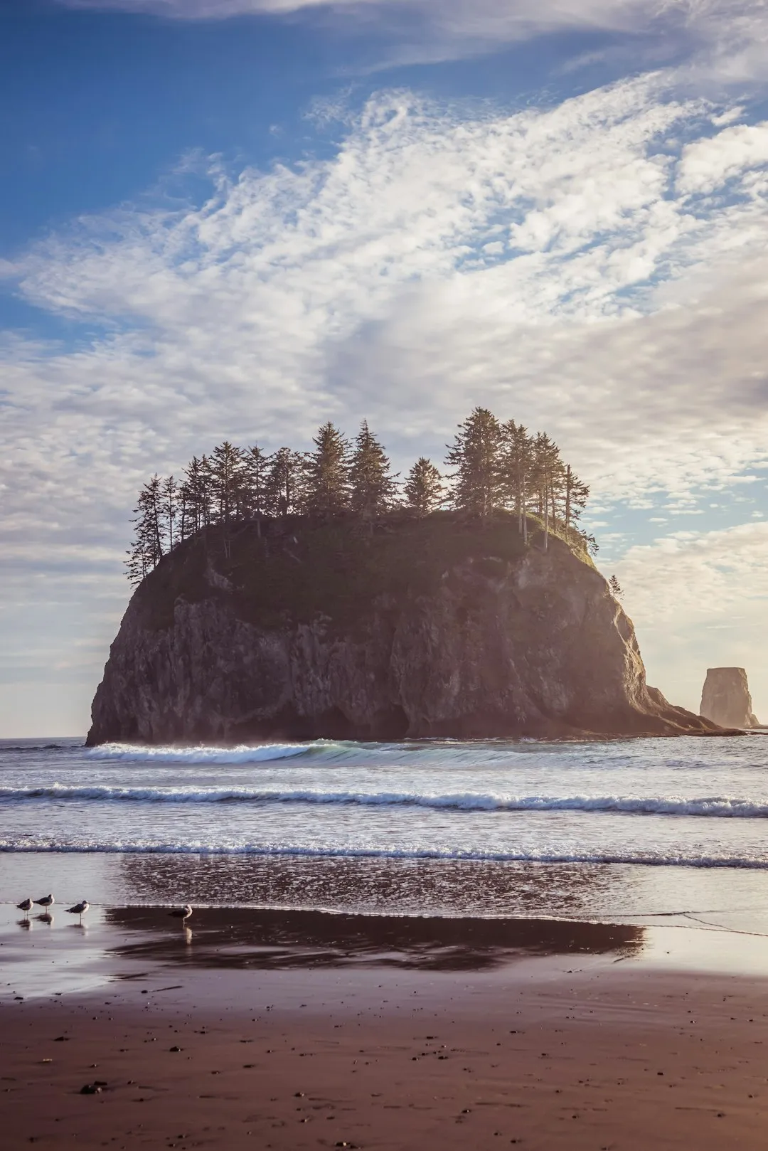 La Push