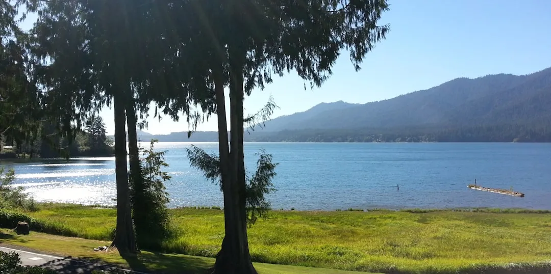 Lake Quinault