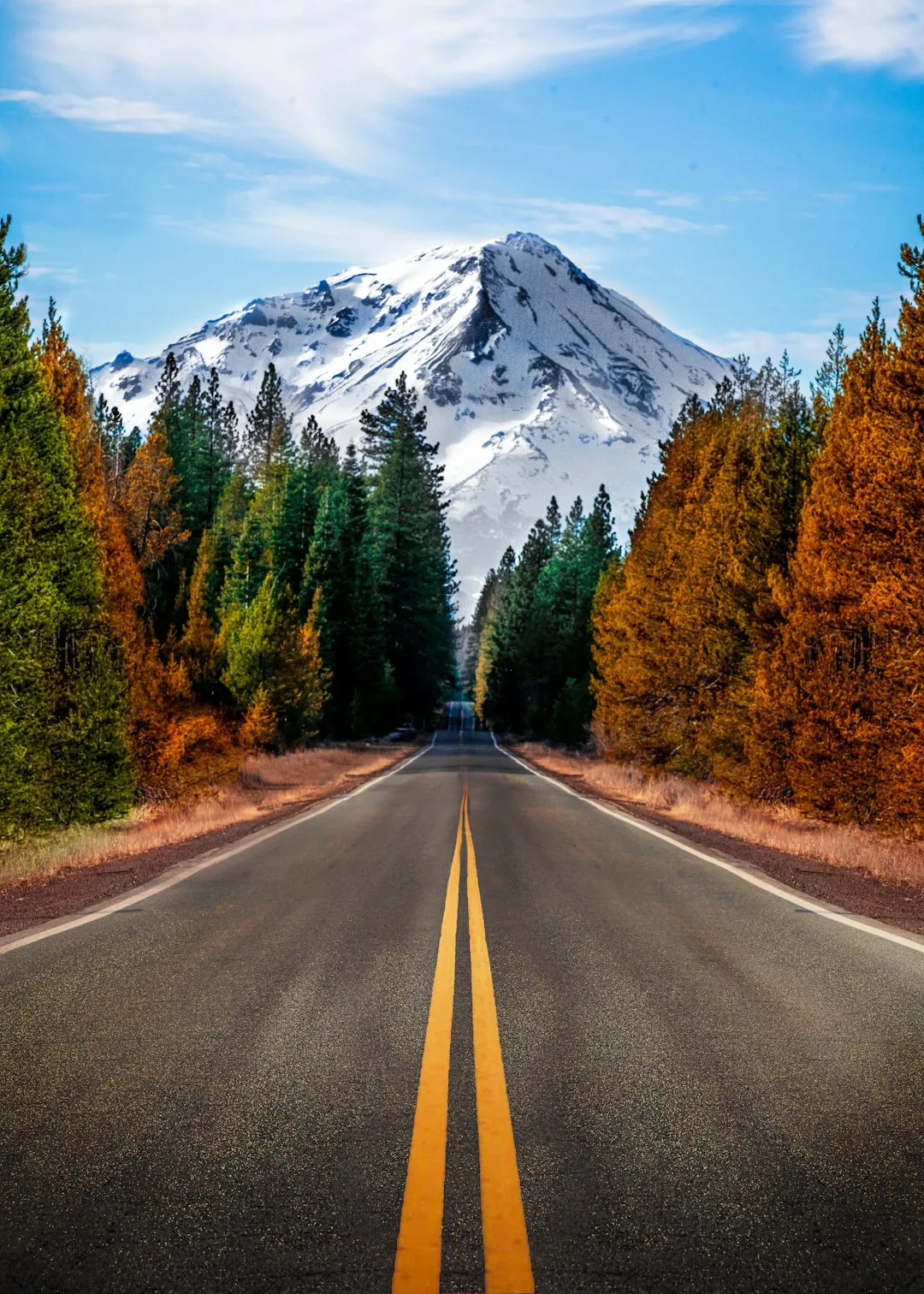 Mount Shasta
