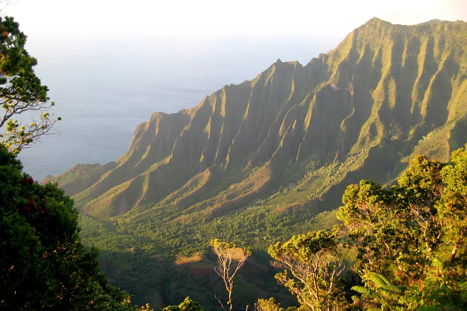 🌺 Kauaʻi Scenic Road Trip