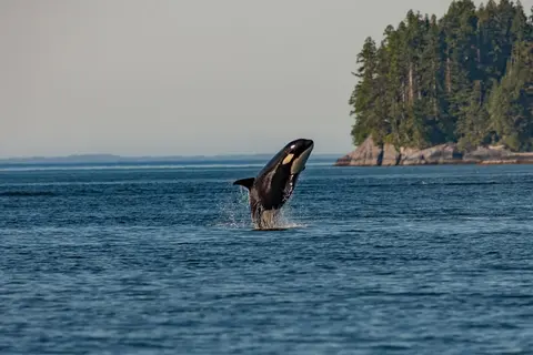 ⛴️ San Juan Islands