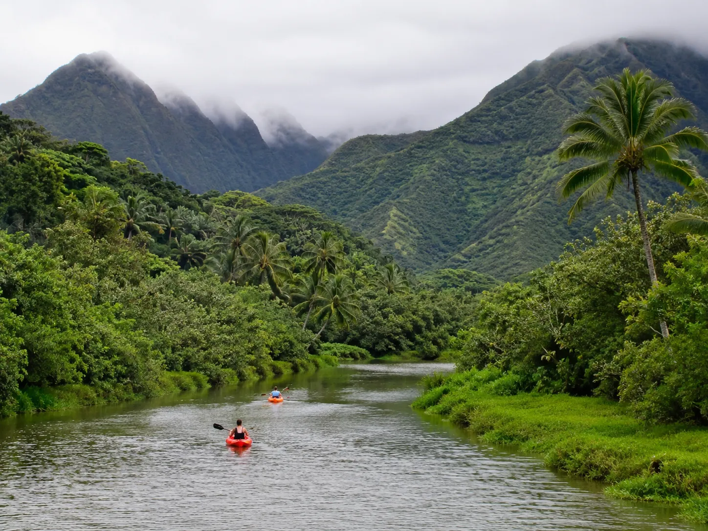 🌊 Wailua River