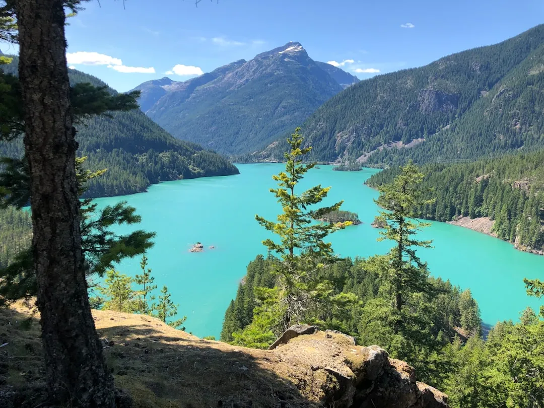 ποΈ Washington Highlights Road Trip